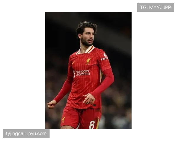 索博斯洛伊迅速融入英超，新赛季表现抢眼助球队强势冲击冠军